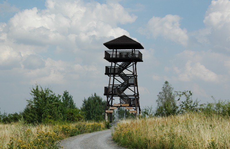 Piętnastometrowa, drewniana wieża widokowa położona na wzniesieniu o nazwie Kozia Góra (317m n.p.m.).