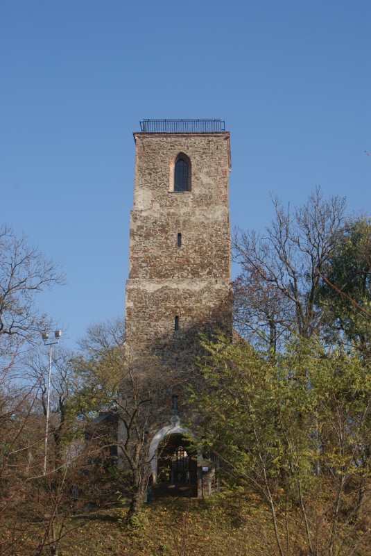 Wieża Widokowa we Włodzieninie