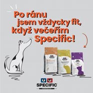 Specific - Fit 3